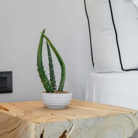 She Mykonos - Luxury Apartment Mykonos Town